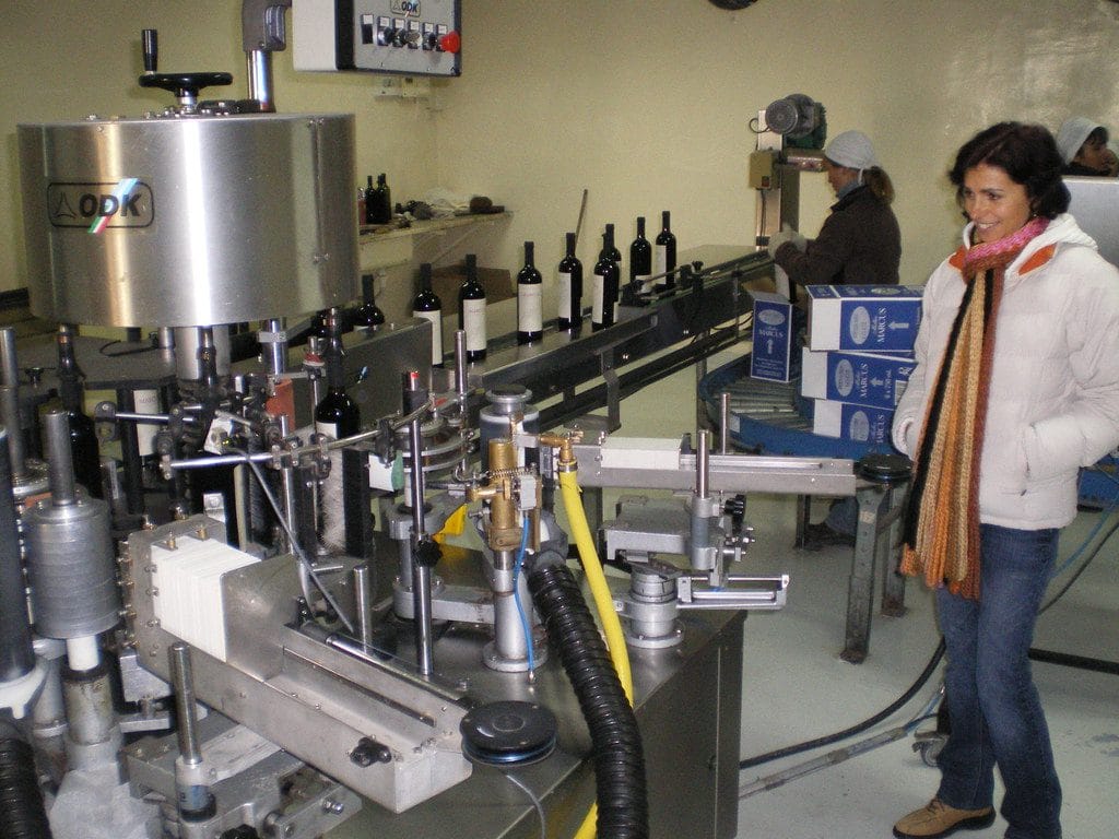 Nosotros somos una Empresa de alquiler de maquinaria para vinos