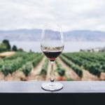 Innovación en bodegas: Filtración de fangos y mostos garantiza vinos más puros y de calidad