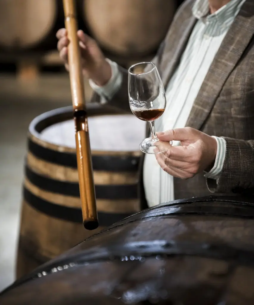 Resinas de Intercambio Catiónico de Vinos 7 resinas de intercambio aniónico