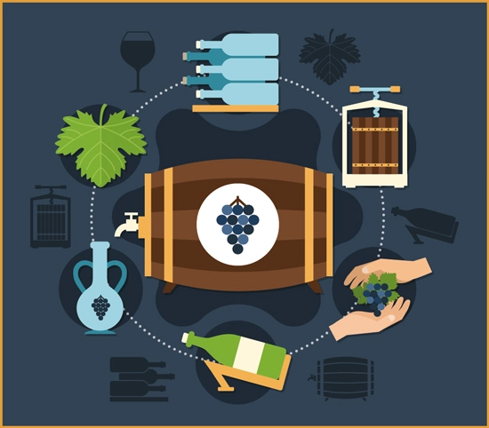 como se produce el vino paso a paso