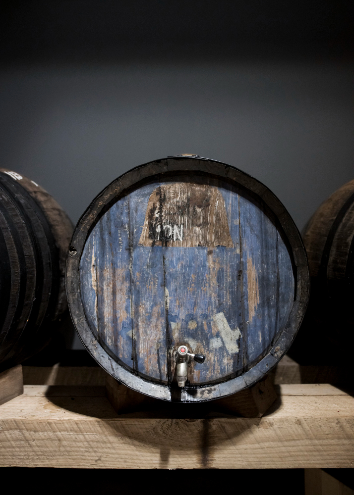 bodega de vinos
