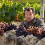 ¿Cómo reducir las pérdidas de vino en la recuperación de fangos?