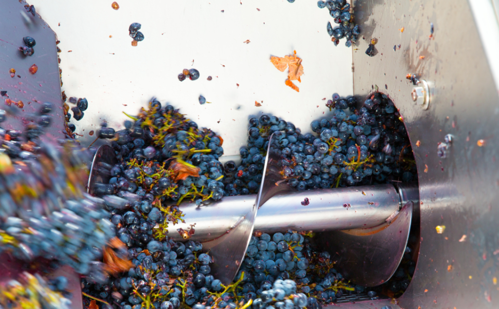 Qué hacer en bodega después de la vendimia.